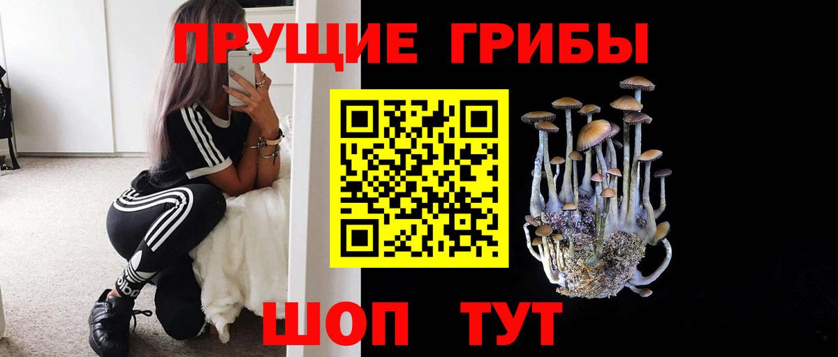 Псилоцибиновые грибы GOLDEN TEACHER  Вход с VPN  где купить наркоту  Уварово 